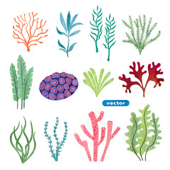 Set of seaweed and corals isolated on white background. Underwater watercolor algae set. Aquarium plants vector illustration