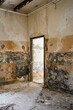 © Mauro Grigollo/Stocksy - Door inside an old building