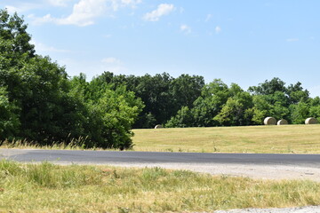 Poster - Rural Highway by a Field