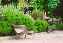 Brown Wooden Bench In Green Trafalgar Park Downtown Madrid, Spain. Vivid Greenery, Summertime. Olavide Square