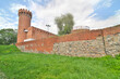 Ruiny zamku w Świeciu – pozostałości zamku w Świeciu położonego w widłach Wisły i Wdy, Polska