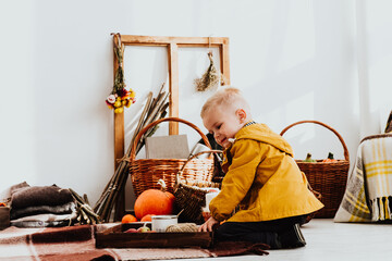 Cool trendy hipster boy 2 years old wears yellow jacket posing at the decorated photozone of autumn decor with beautiful bright autumn leaves.