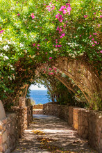 Road To The Sea Through A Tunnel With Colorful Flowers In Sharm El Sheikh, Egypt
