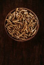 Dried Molitor Worms