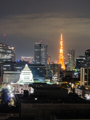 Canvas Print - Beautiful scenery of the Tokyo skyline in Japan