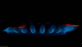 Fototapeta  - gazowy palnik kuchenny, płomienie