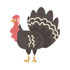 Wall Mural - Turkey Farm Bird, Poultry Breeding Concept Cartoon Vector Illustration