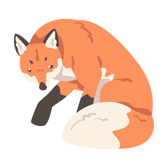 Sticker - Red Sitting Fox, Wild Predator Forest Mammal Animal Cartoon Vector Illustration