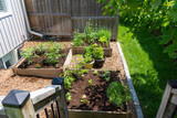 Fototapeta  - This small urban backyard garden contains square raised planting beds for growing vegetables and herbs throughout the summer.  Edging is used to keep grass out, and mulch helps keep weeds down.