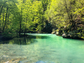 Canvas Print - Closeup shot of a flowing river through the forest