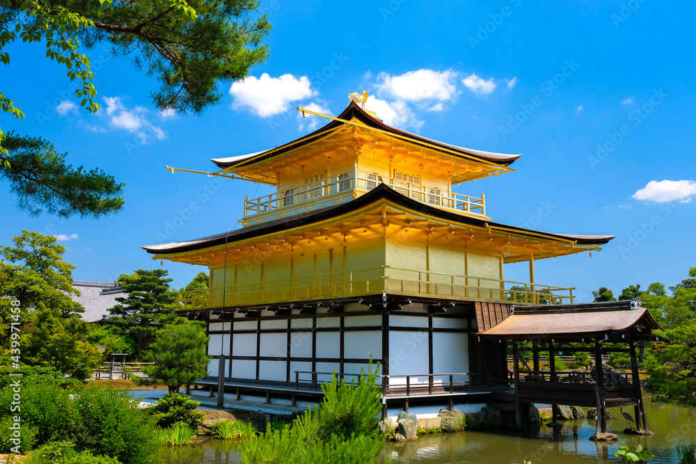 写真金閣寺 京都市北区 新緑の金閣寺（2021年6月10日） Stock Photo | Adobe Stock