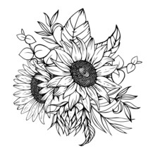 Beautiful Vector Bouquet Of Sunflowers Sketch Style.