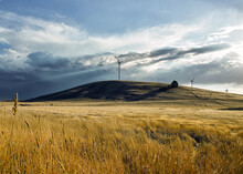 Grassy Paddock With Wind Turbines In Background