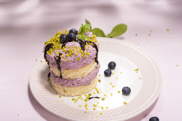 Sticker - Closeup shot of a piece of delicious cake with blueberries on a white plate