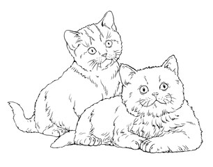 Wall Mural - Cute kittens for coloring. Template for a coloring book with little cats.