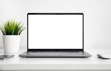 Wall Mural - laptop with a blank screen on white wooden table with the mouse, smartphone and grass flower