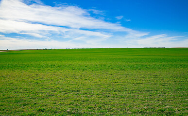 Green field and blue sky, USA
