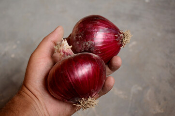 Wall Mural - Selective focus shot of a hand holding two red onions in front of a grey background.