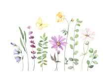 Floral Card With Colorful Flowers Cosmos, Coreopsis, Lavender, Bells, Green Plants And Flying Yellow Butterfly. Watercolor Set Wildflowers Isolated On White Background, Summer Border For Your Design.