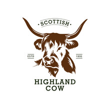 Scottish Highland Cow Vector Illustration Logo, Perfect For Farm Logo