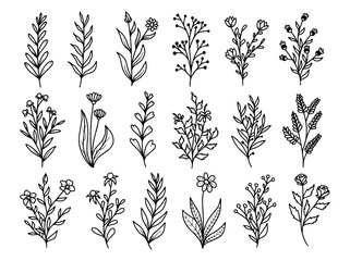 Wall Mural - hand drawn flower sketch line art illustration set.