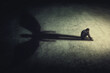© psychoshadow - Depressed young man sitting alone isolated in a dark room, casting a shadow of a powerful guardian angel. Inner strength conceptual background. Stressed person introvert with an imaginary friend