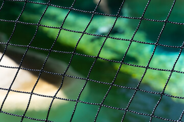 Balck Net Close-up