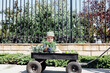 © Ashley Corbin-Teich/Westend61 - Cute boy touching plant in wheelbarrow during sunny day at plant nursery