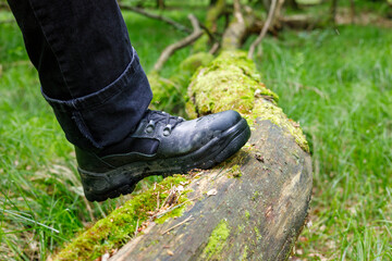 Sticker - Leg in a trekking shoe on a fallen mossy tree, Active rest concept