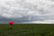© FL/Westend61 - Woman with red umbrella standing in grass during stormy weather