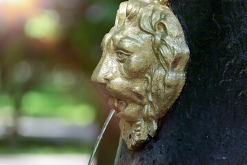 Park fountain in the form of a lion's muzzle on a blurred background.