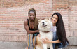 © Jose Carlos Ichiro/Westend61 - Multi-ethnic female friends with Akita Dog by brick wall