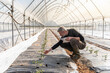 © 27exp/Westend61 - Male farmer with digital tablet checking tomato seedlings in greenhouse