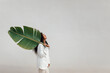 © Tania Cervian/Westend61 - Young woman carrying big banana leaf by white wall