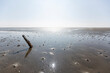 © Anke Scheibe Fotografie/Westend61 - Denmark, Romo, Low tide mud flat on sunny day