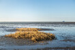 © Anke Scheibe Fotografie/Westend61 - Denmark, Romo, Mud flat during low tide with ferry in distant background