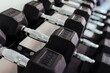 © Eva Blanco/Westend61 - Heavy dumbbells in a line at health club