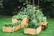© Elisabeth Colfen/Westend61 - Vegetables planted in raised beds at garden during summer