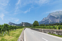 Switzerland, Grisons, Maienfeld, Road Through Vineyard With Falknis Mountain In Background