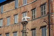 Italy, Tuscany, Siena, Sculpture Of Wolf, Romulus And Remus Standing In Front Of Historical Townhouse