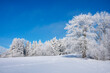 © Martin Rugner/Westend61 - Germany, Baden Wurttemberg, Zollernalb, Winter landscape with hoar frost on trees under blue sky