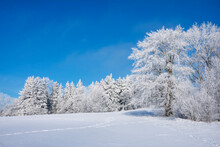 Germany, Baden Wurttemberg, Zollernalb, Winter Landscape With Hoar Frost On Trees Under Blue Sky