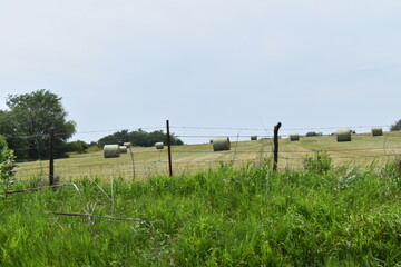 Canvas Print - Hay Bales in a Field