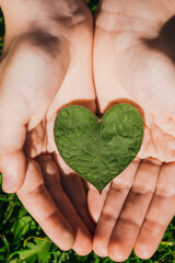 child holding a green leaf in the shape of a heart on a green background.concept of ecology,earth day,care of the environment,eco friendly