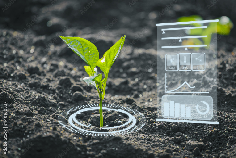 Planting Using Technology Agriculture and artificial intelligence technology in smart farm for ...