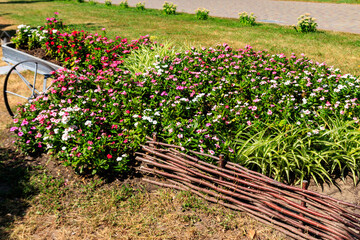 Sticker - Beautiful flowerbed in a park