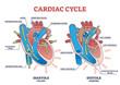 Cardiac cycle with heart diastole and systole process labeled outline diagram. Scheme with educational filling and pumping phases vector illustration. Anatomical explanation with blood flow arrows.