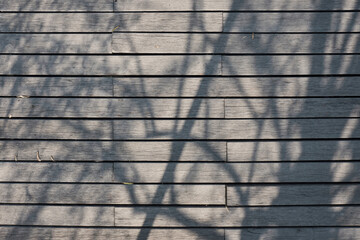 Wall Mural - shade of tree branches lay down on a wooden plank floor walking way