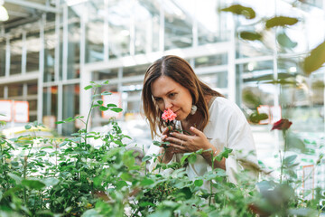 Wall Mural - Brunette middle aged woman in white dress sniffs a bush rose at the garden store greenhouse