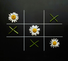Tic Tac Toe On A Black Background Made Of Chamomile Flowers And Flower Twigs.